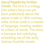 Sea of Poppies by Amitav Ghosh. The first in a trilogy (the oth